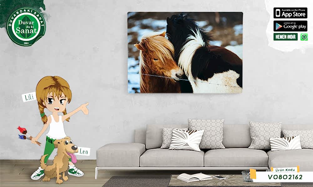 Duvardaki Sanat Midilli Kanvas Tablo